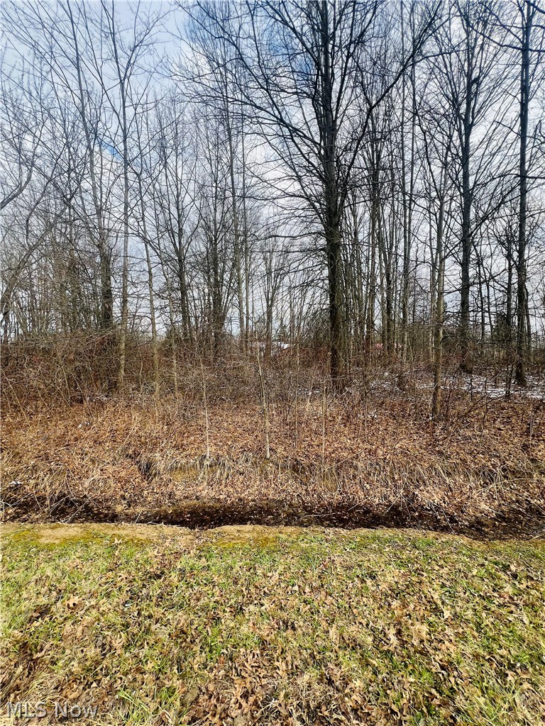 Lot 113 Breezewood Lane Orwell OH 44076