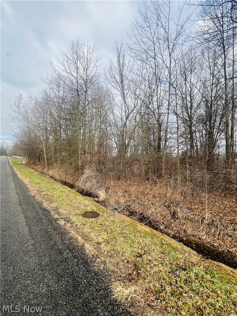 Lot 113 Breezewood Lane Orwell OH 44076
