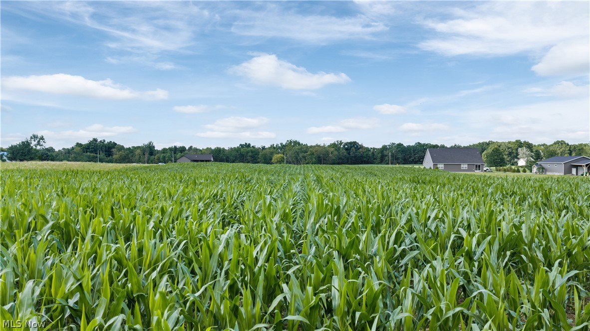 Old Mill Road Spencer OH 44275