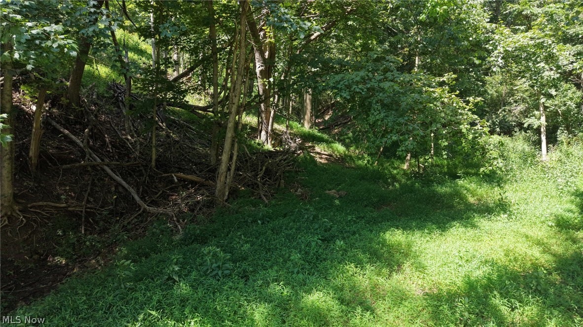 1054 Bergholz Road SE Bergholz OH 43908