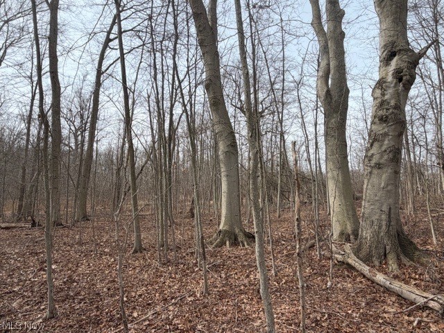 S Madison Road Madison OH 44057
