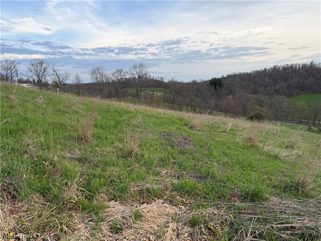 Indian Spring Road Baltic OH 43804