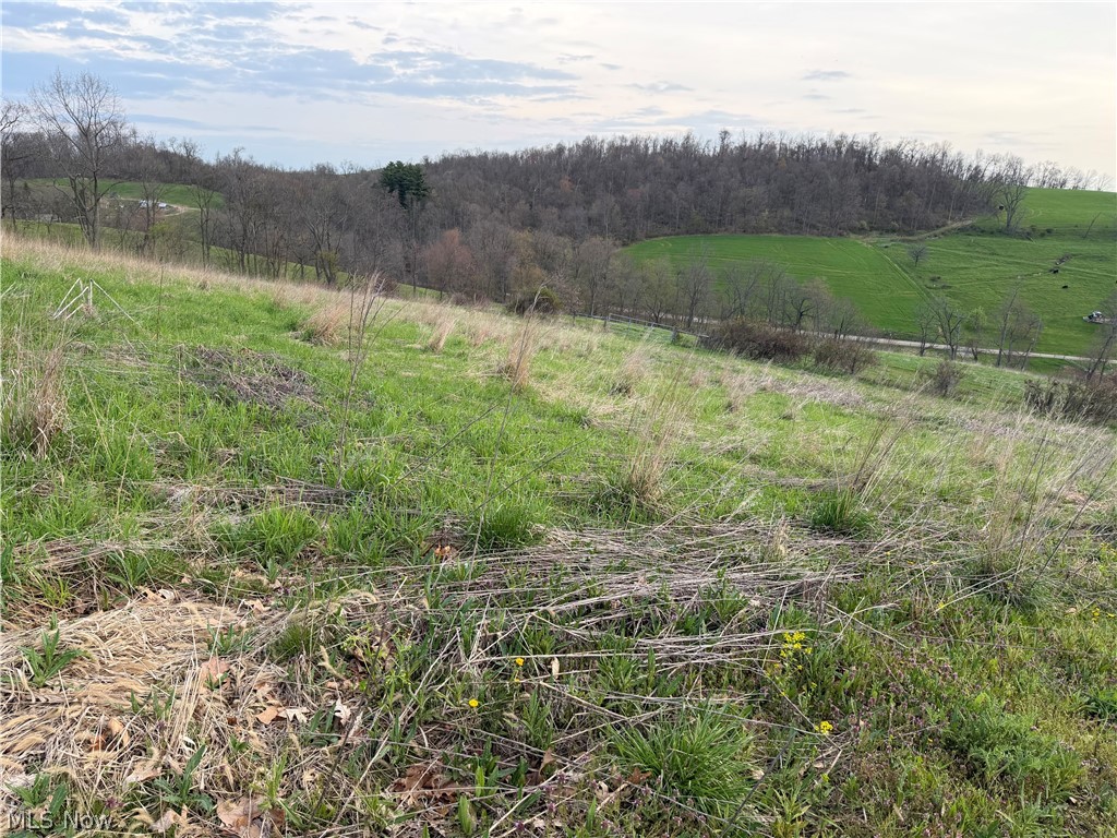 Indian Spring Road Baltic OH 43804