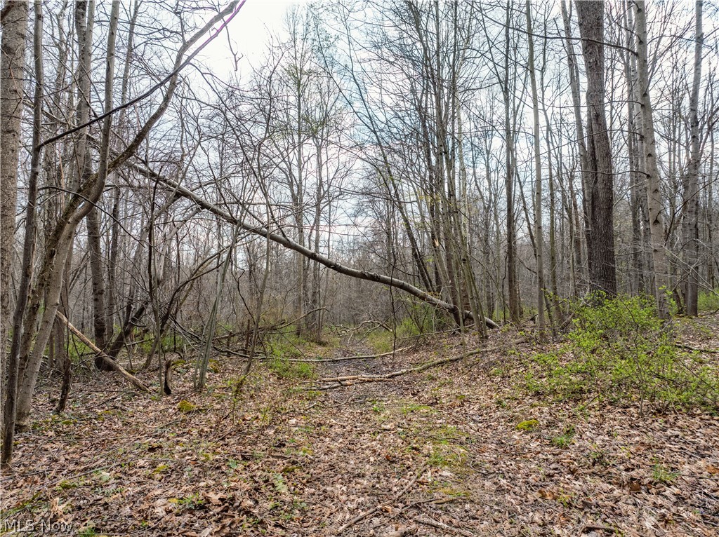 Township Road 389 Frazeysburg OH 43822