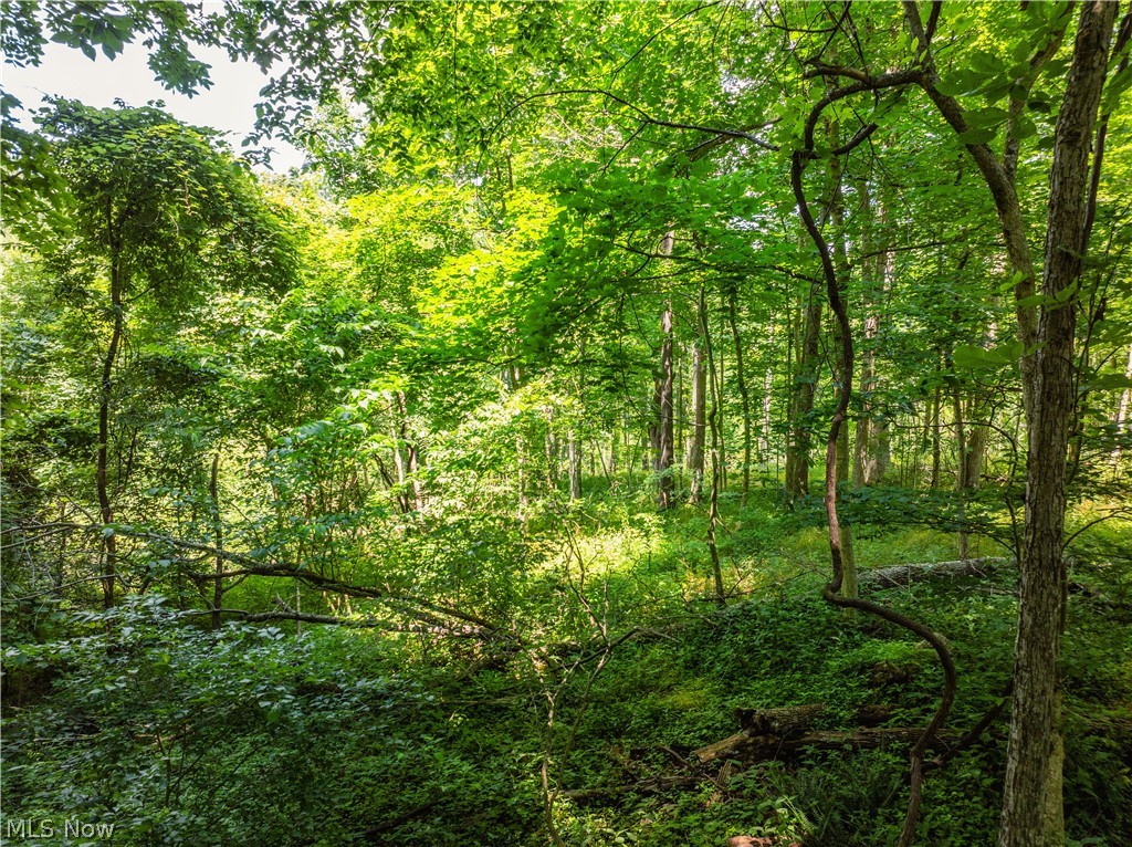 Lot 7 Township Road 51 Somerset OH 43783