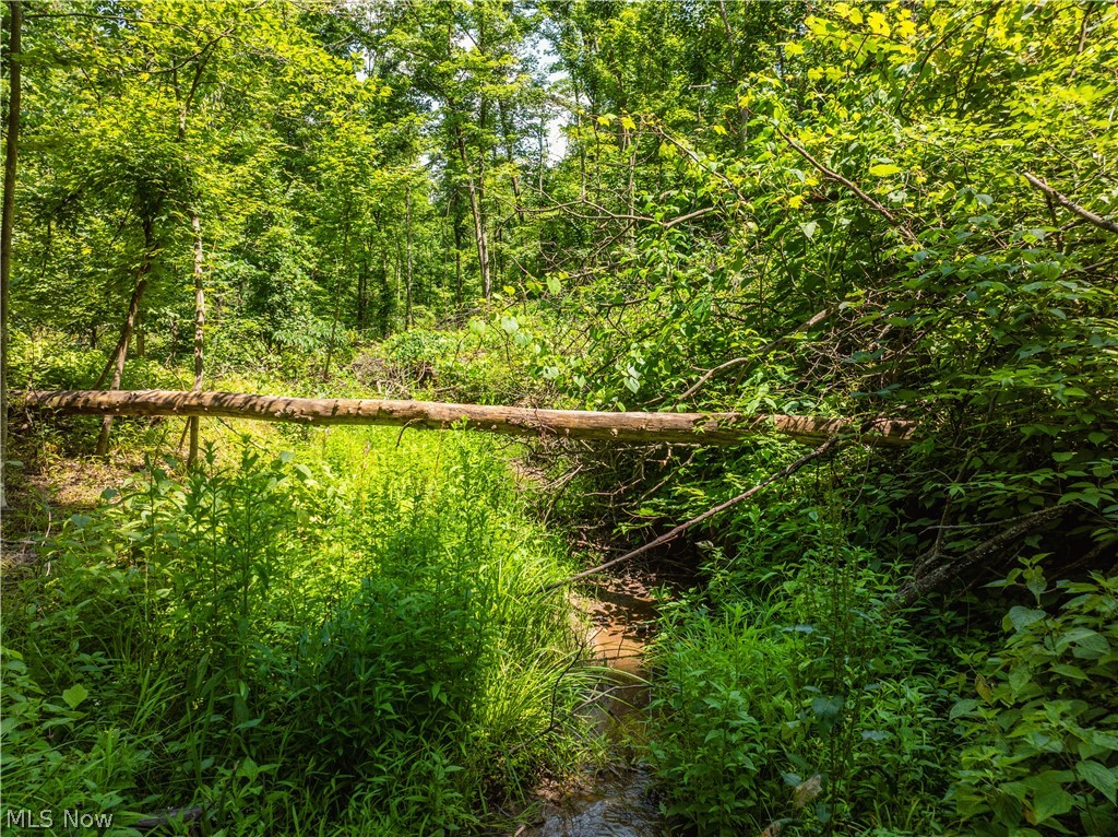Lot 7 Township Road 51 Somerset OH 43783
