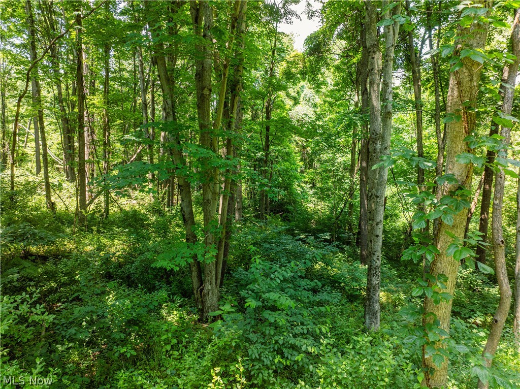Lot 7 Township Road 51 Somerset OH 43783