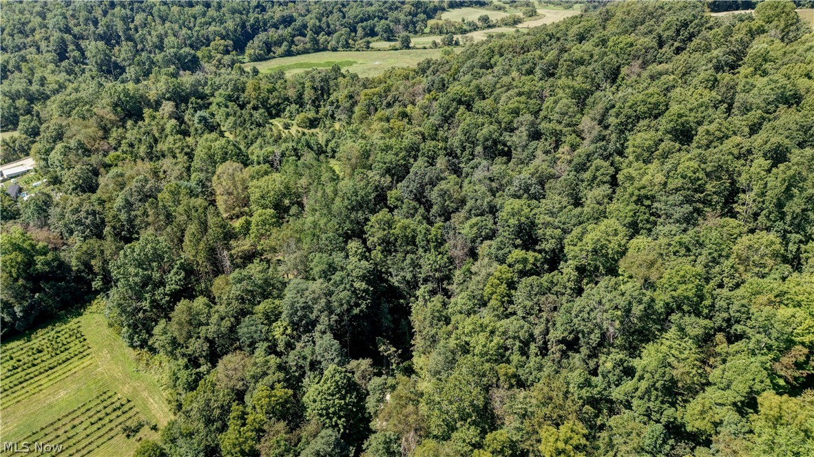 33111 Township Road 490 Killbuck OH 44637