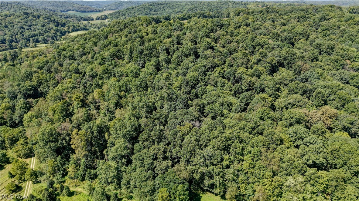 33111 Township Road 490 Killbuck OH 44637