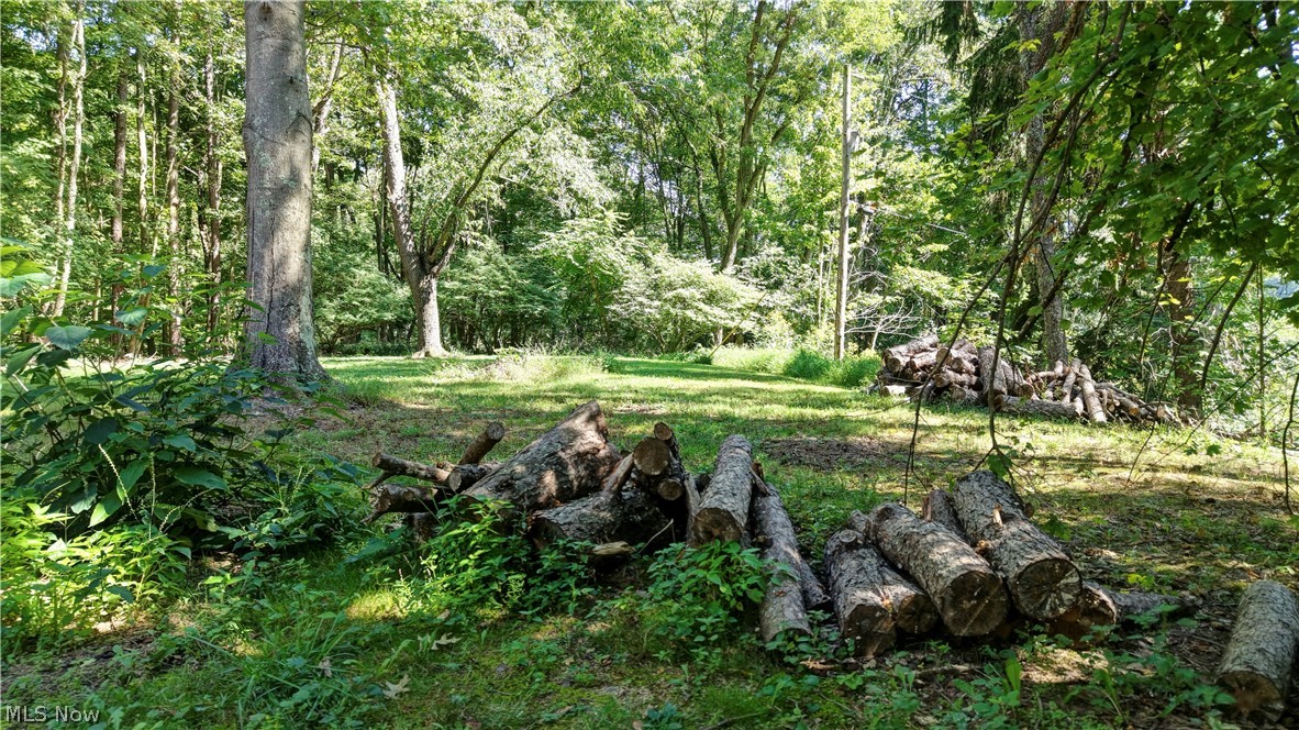 33111 Township Road 490 Killbuck OH 44637