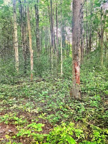15282 Leroy Road Thompson OH 44086