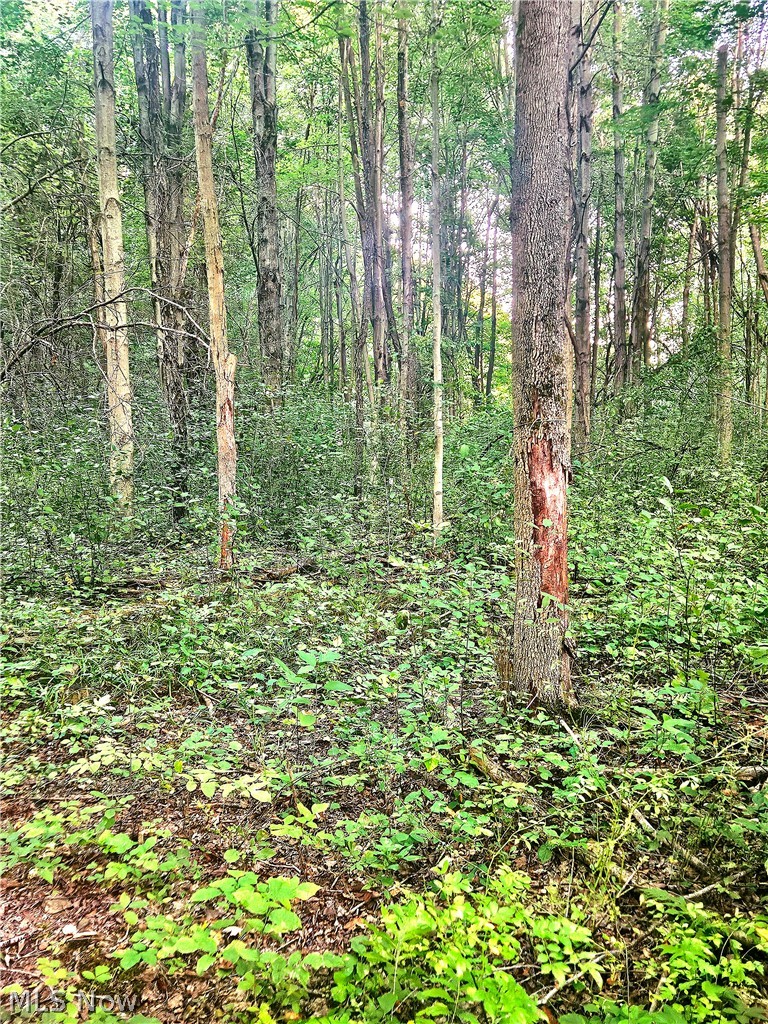 15282 Leroy Road Thompson OH 44086