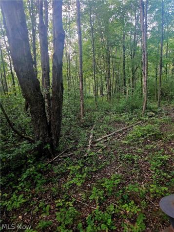 15282 Leroy Road Thompson OH 44086