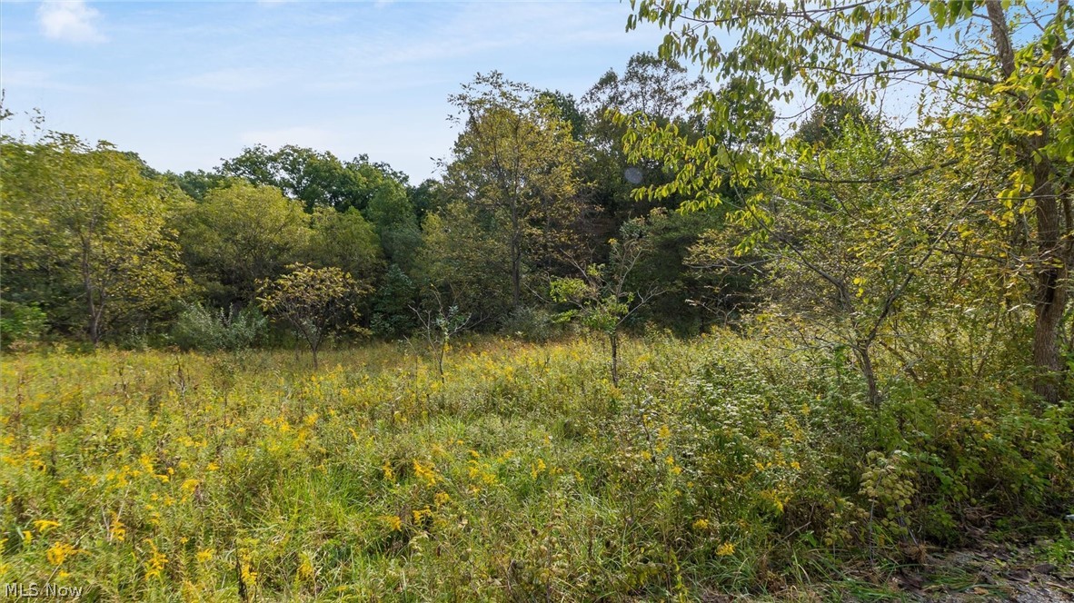 37 John Woods Road Oak Hill OH 45656