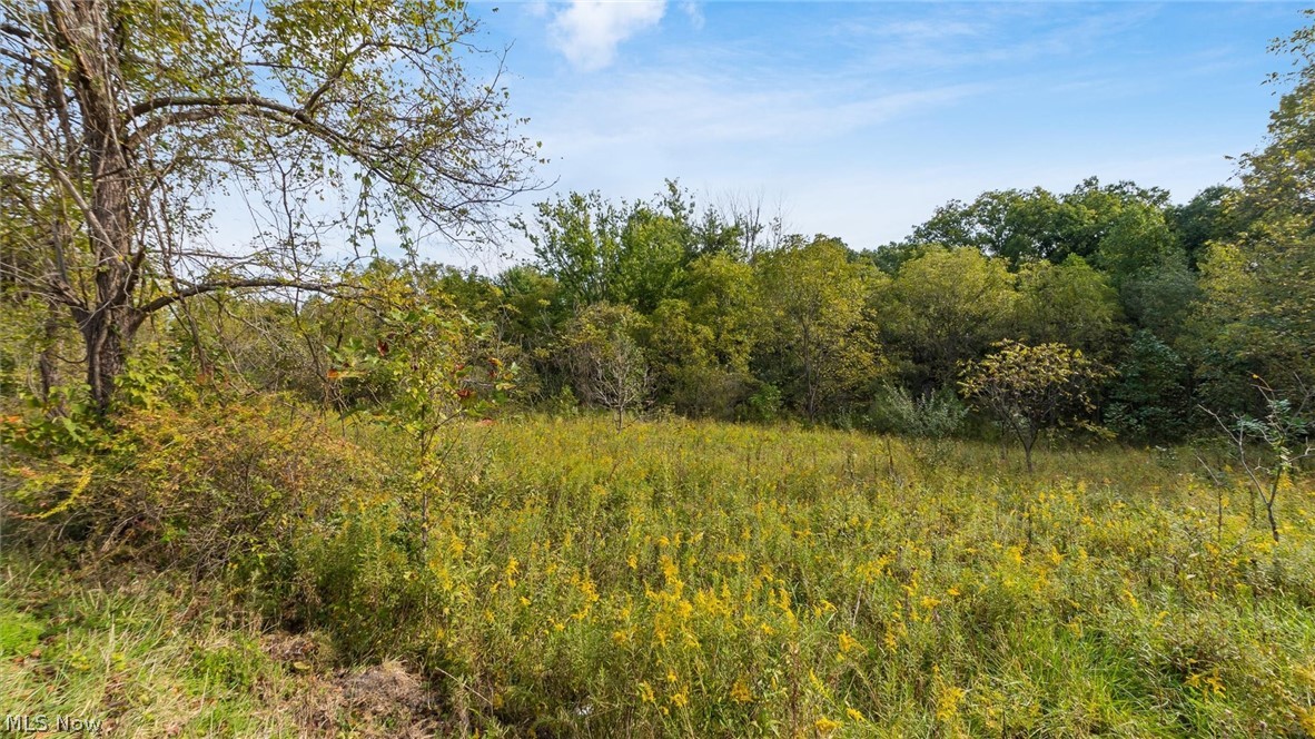 37 John Woods Road Oak Hill OH 45656