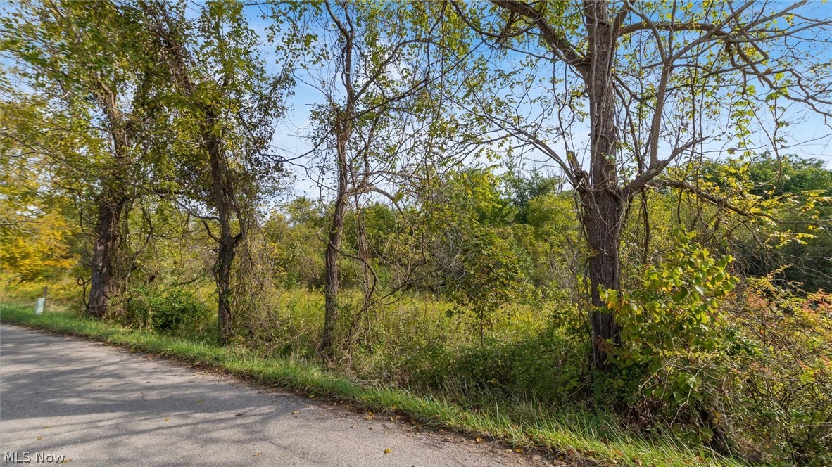 37 John Woods Road Oak Hill OH 45656