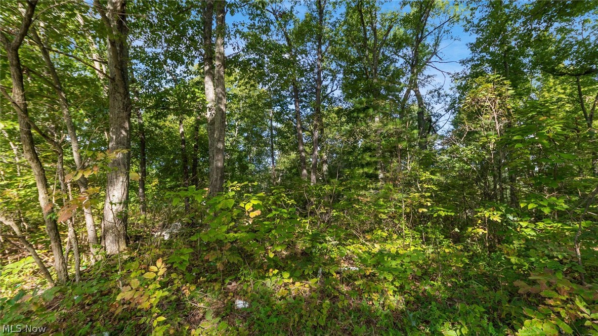 37 John Woods Road Oak Hill OH 45656