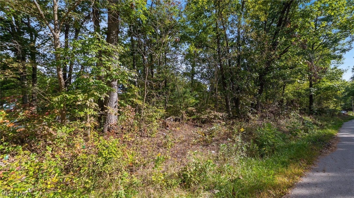 37 John Woods Road Oak Hill OH 45656