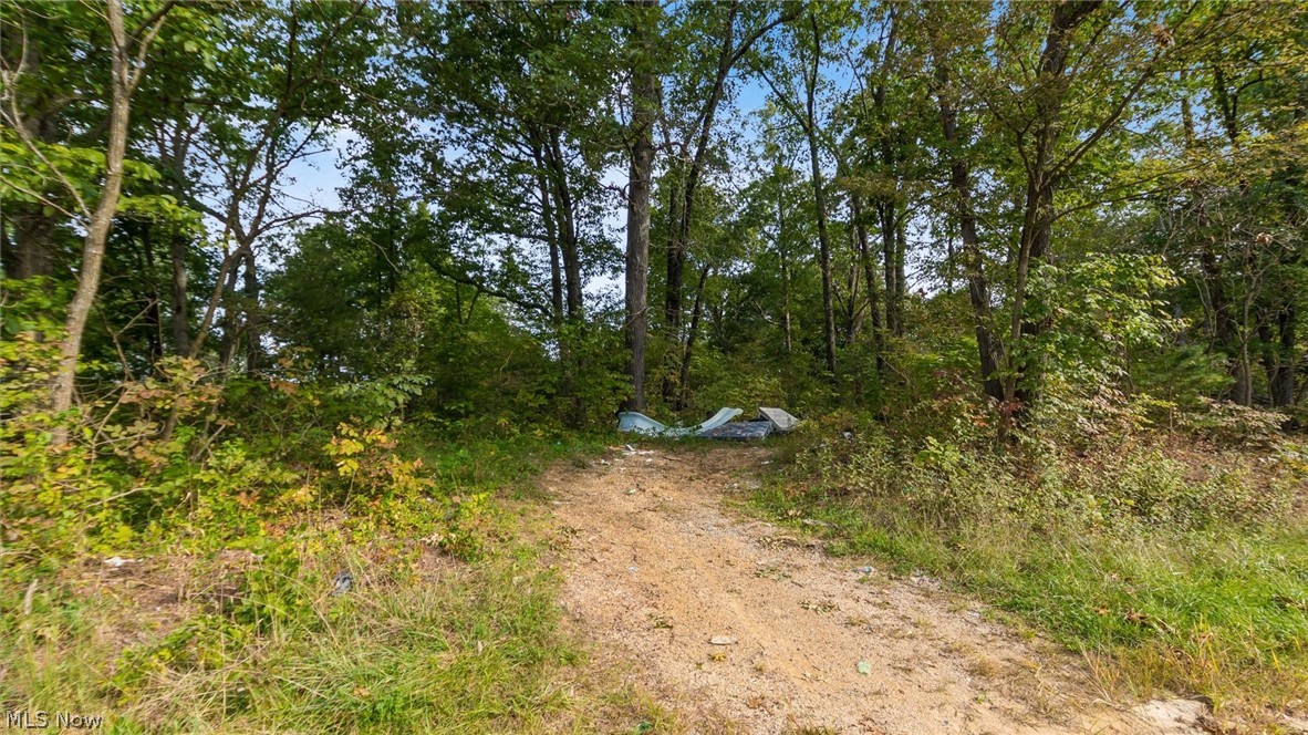 37 John Woods Road Oak Hill OH 45656