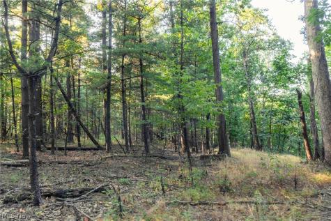 10772 Lawndell Road SW Navarre OH 44662