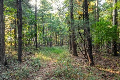 10772 Lawndell Road SW Navarre OH 44662