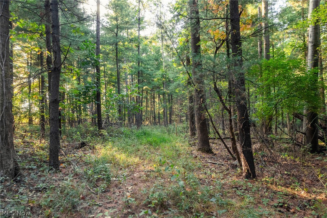 10772 Lawndell Road SW Navarre OH 44662