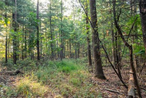 10772 Lawndell Road SW Navarre OH 44662