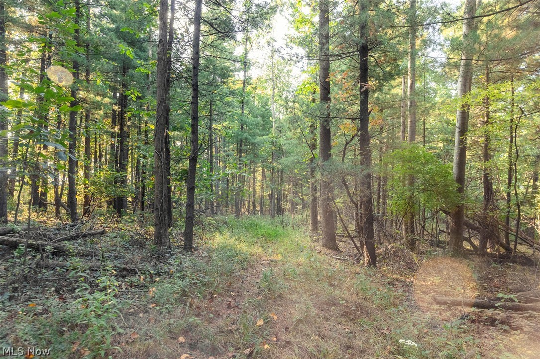 10772 Lawndell Road SW Navarre OH 44662