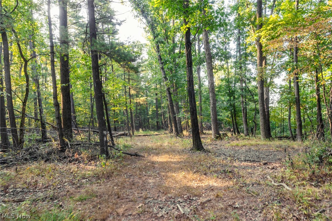 10772 Lawndell Road SW Navarre OH 44662
