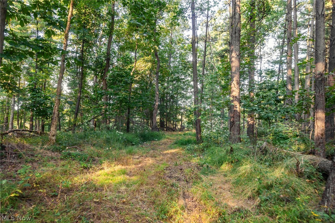 10772 Lawndell Road SW Navarre OH 44662