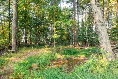 10772 Lawndell Road SW Navarre OH 44662
