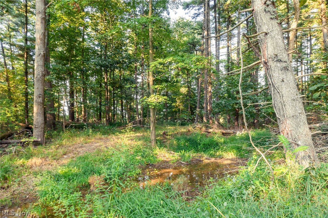 10772 Lawndell Road SW Navarre OH 44662