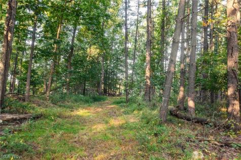 10772 Lawndell Road SW Navarre OH 44662