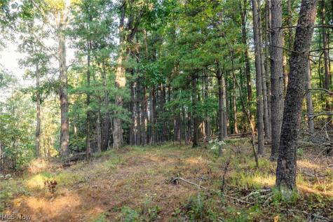 10772 Lawndell Road SW Navarre OH 44662