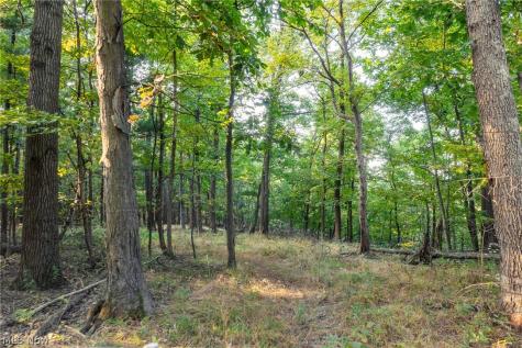 10772 Lawndell Road SW Navarre OH 44662