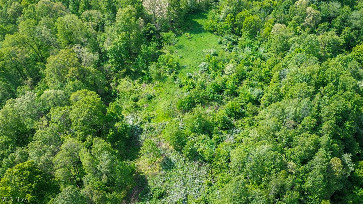 Degen Road SW Stone Creek OH 43840