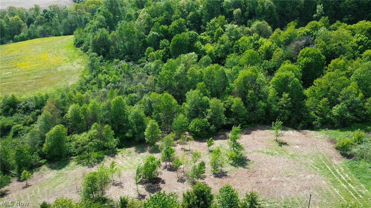 Degen Road SW Stone Creek OH 43840