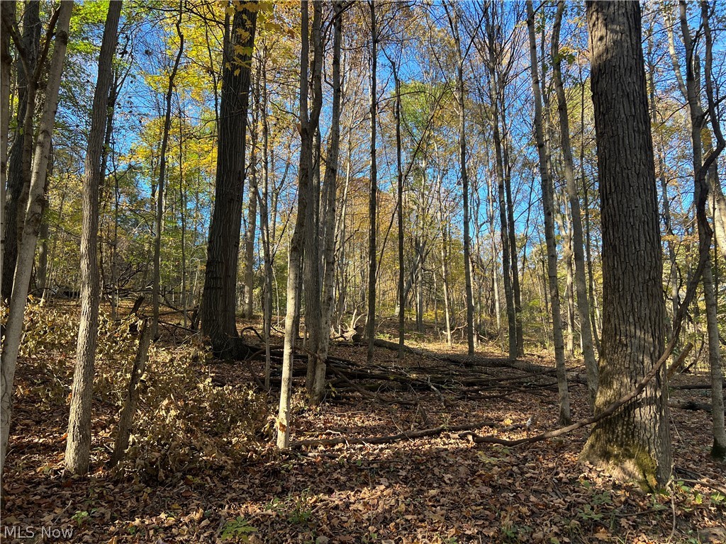 41272 Township Road 78 Coshocton OH 43812