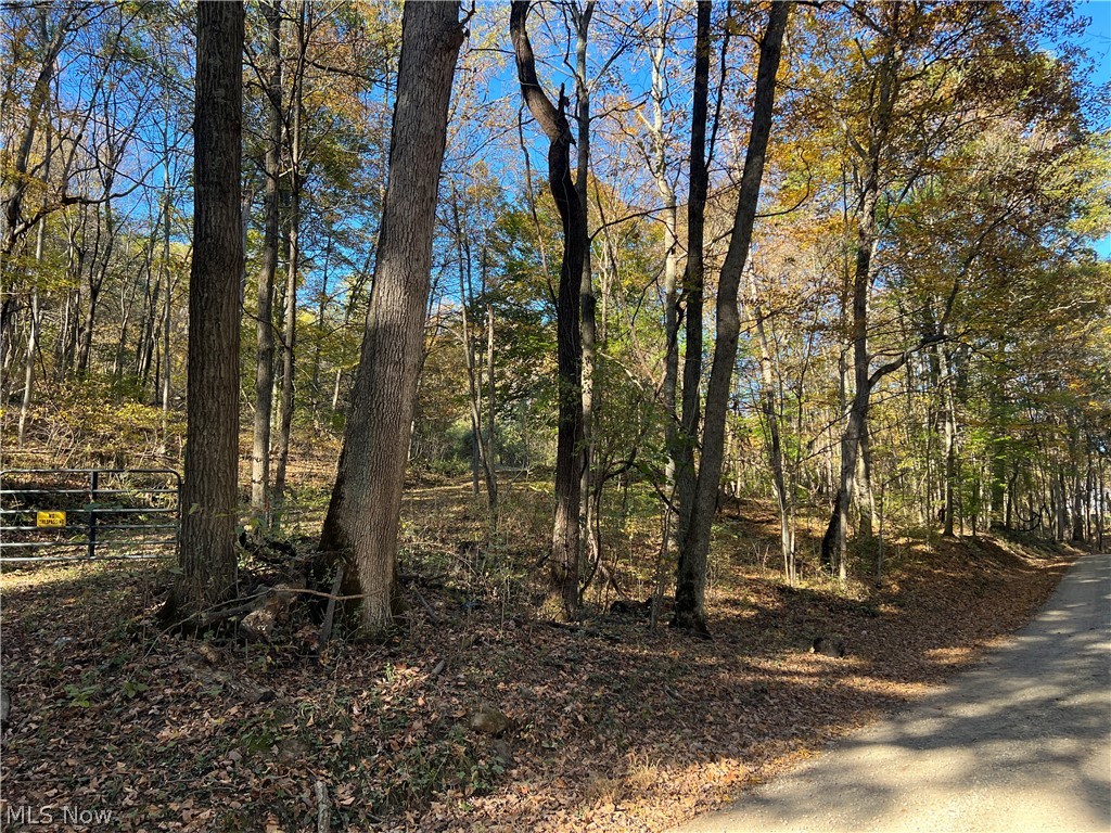 41272 Township Road 78 Coshocton OH 43812