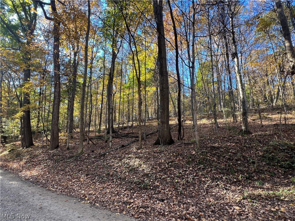 41272 Township Road 78 Coshocton OH 43812