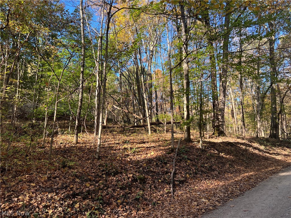 41272 Township Road 78 Coshocton OH 43812