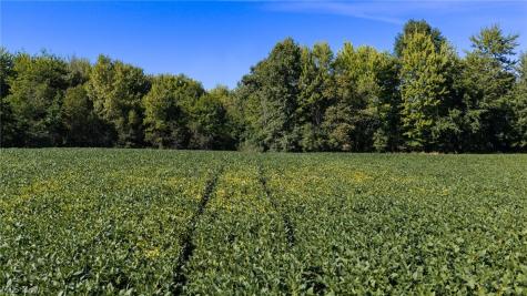 5071 Massillon Road North Canton OH 44232