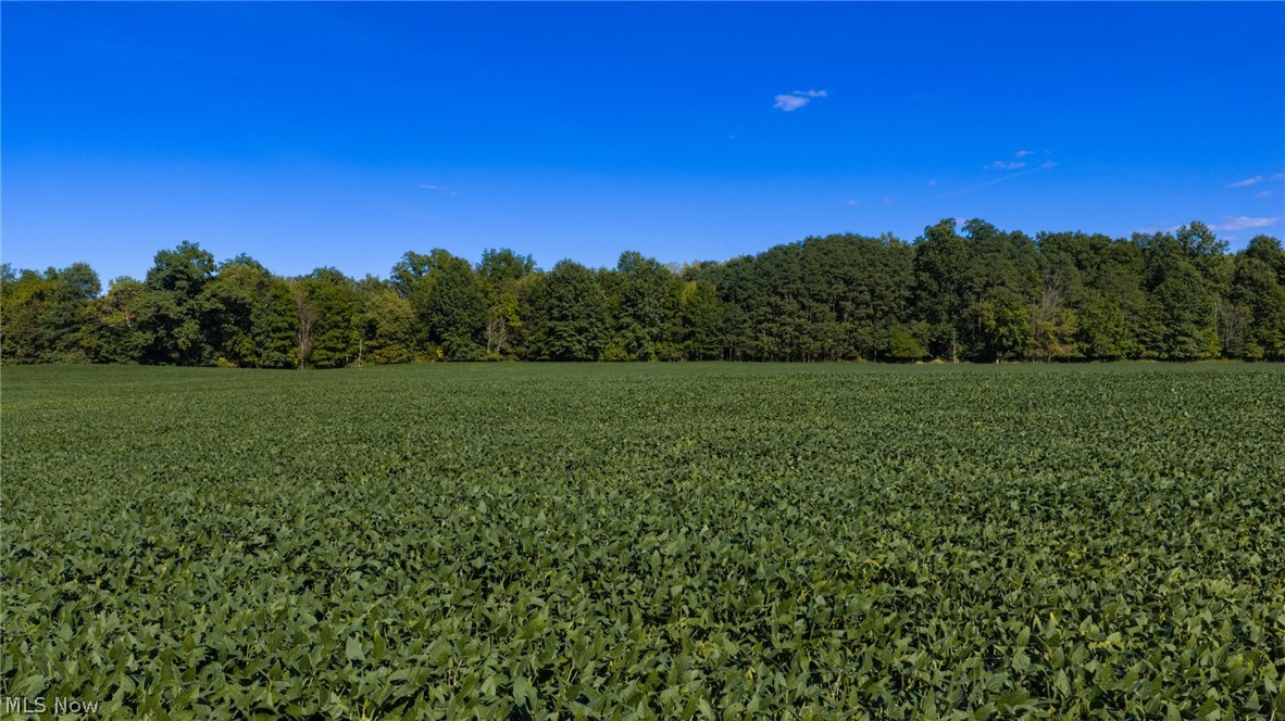 5071 Massillon Road North Canton OH 44232