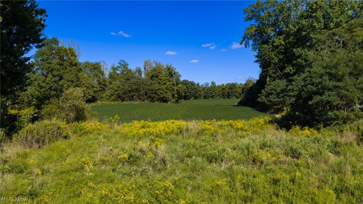 5071 Massillon Road North Canton OH 44232