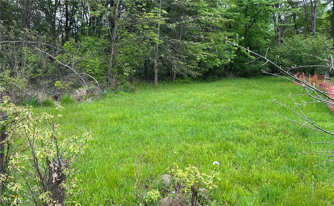 Ridley Avenue Youngstown OH 44505