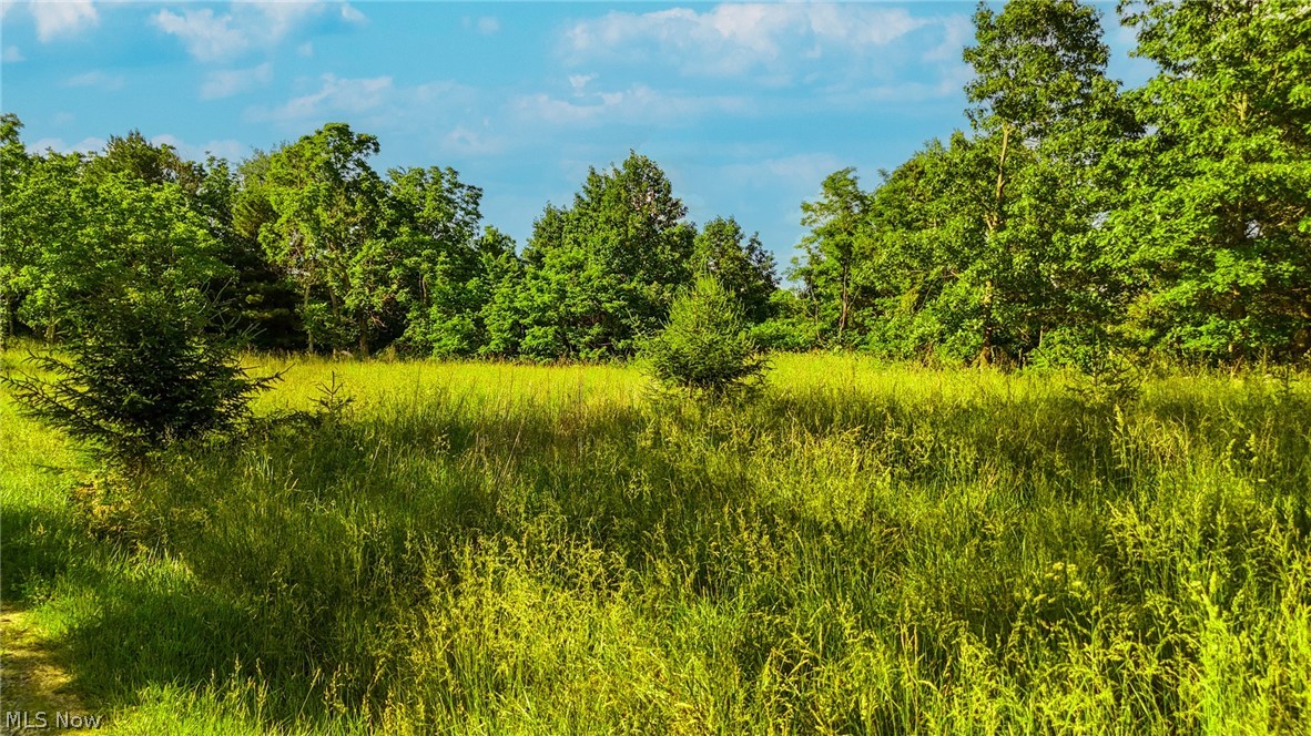 3590 Stanleyville Road Whipple OH 45788