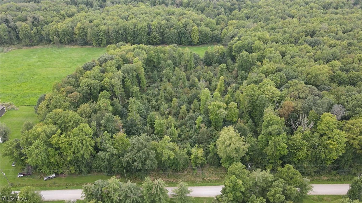 Lewis Road Pierpont OH 44082