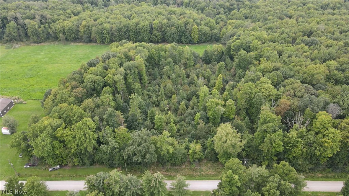 Lewis Road Pierpont OH 44082