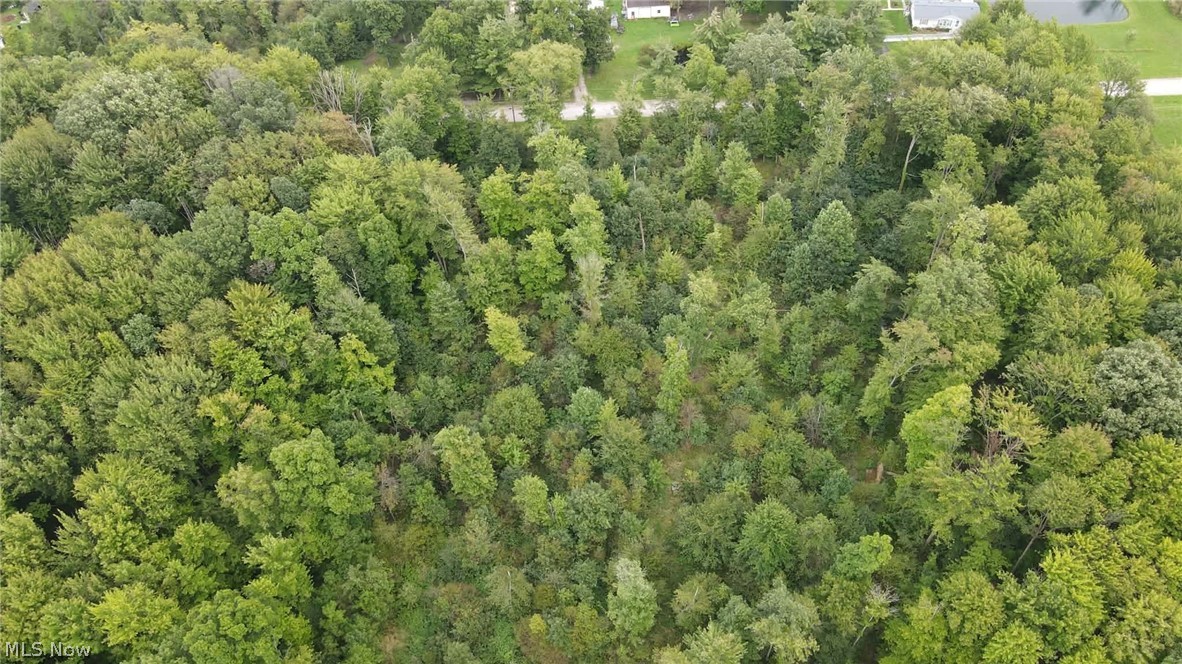 Lewis Road Pierpont OH 44082