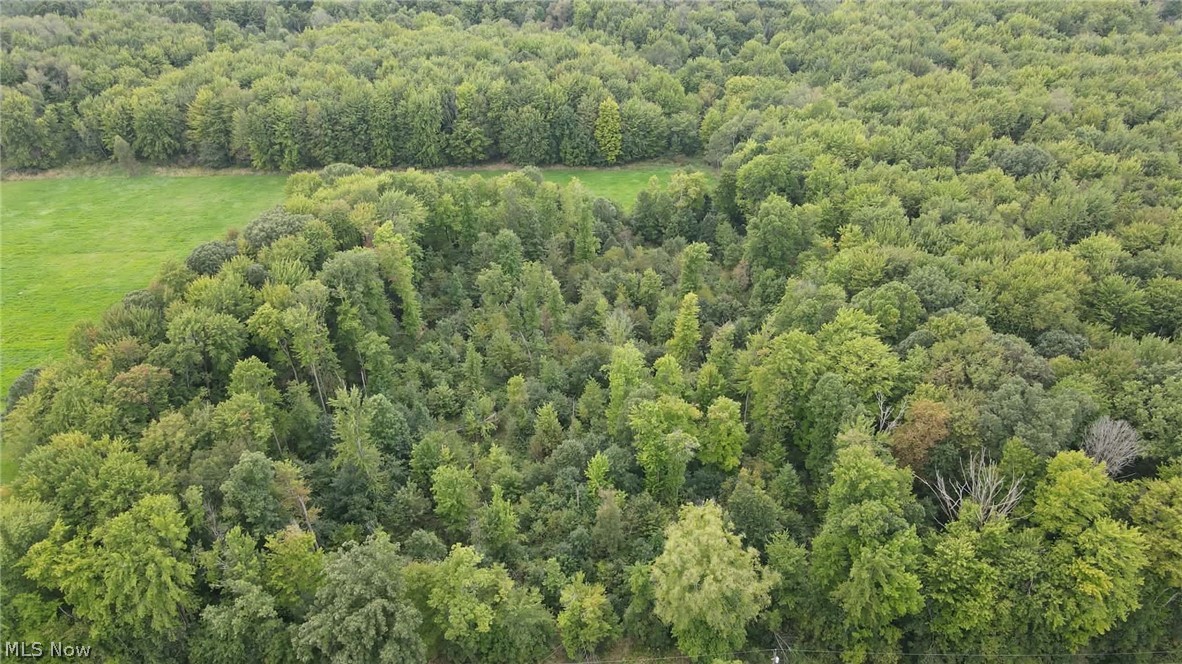 Lewis Road Pierpont OH 44082